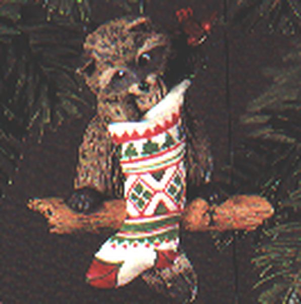 Raccoon Surprises
