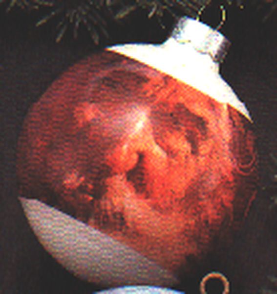 Santa