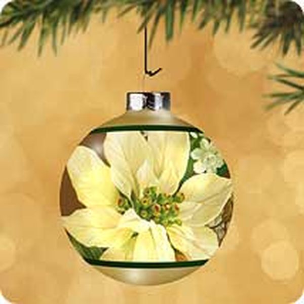 White Poinsettia