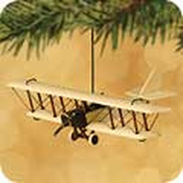 1917 Curtiss JN-4D “Jenny”