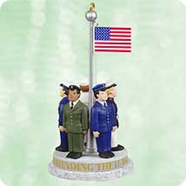 Defending the Flag