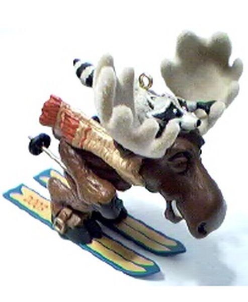 Moose on the Loose