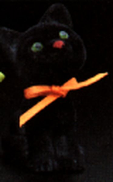 Kitten