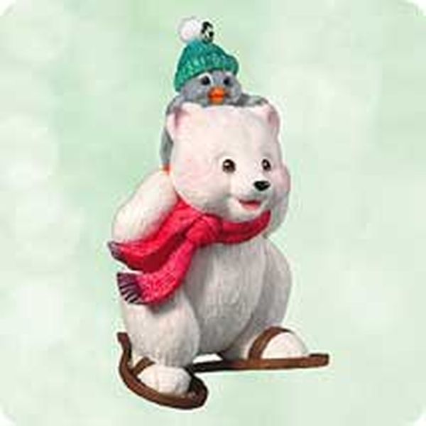Snowshoe Taxi