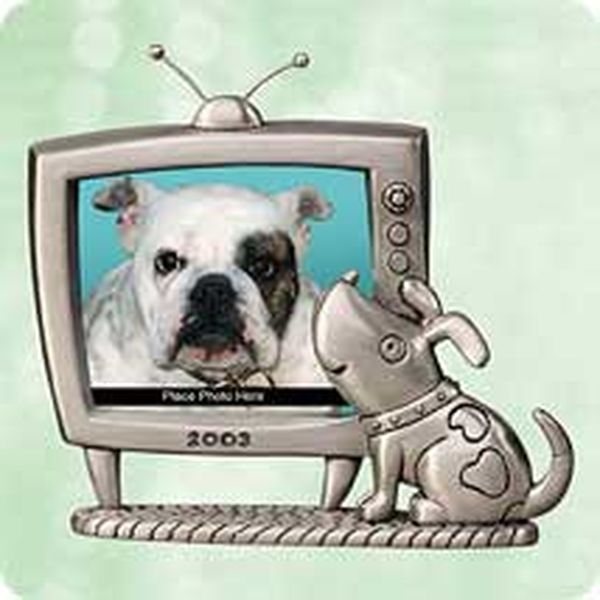 Special Dog