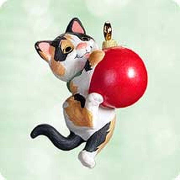 Kitty Catch