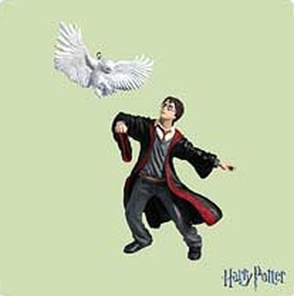 Harry Potter and Hedwig