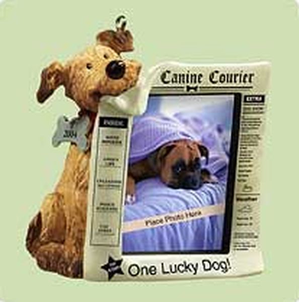 Special Dog
