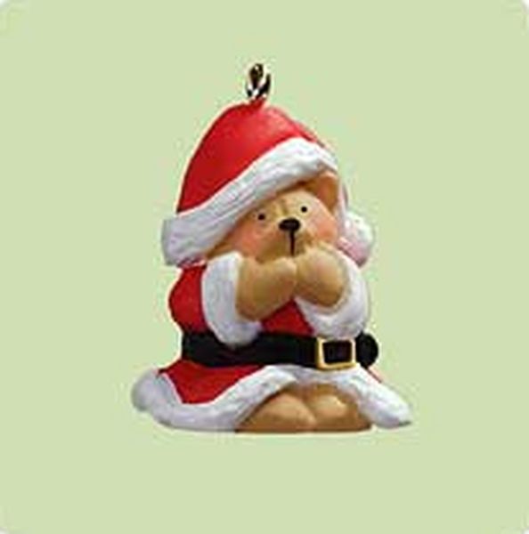 Santa Wanna-Be