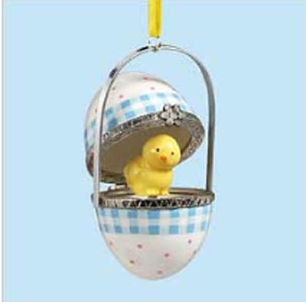 Hatched Before Your Eyes