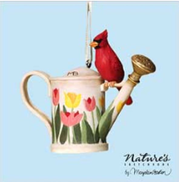 Thirsty Cardinal