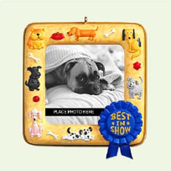 Best In Show
