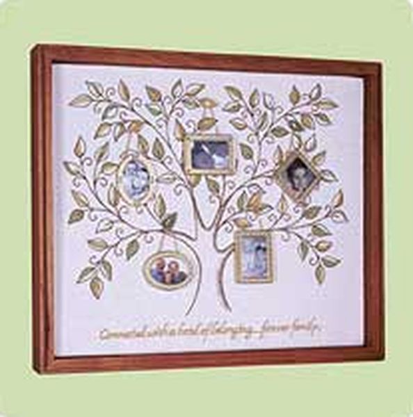 Shadow Box