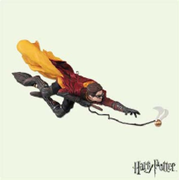 Quidditch Match