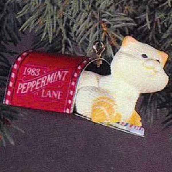 Mailbox Kitten