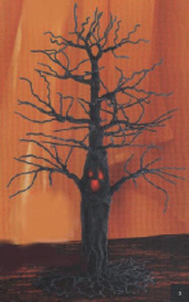 The Old Oak