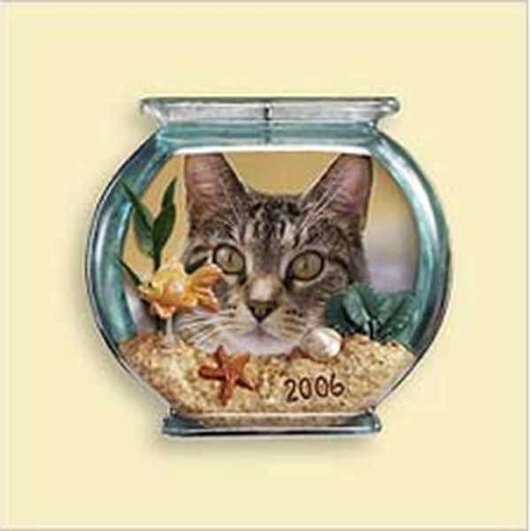 Special Cat
