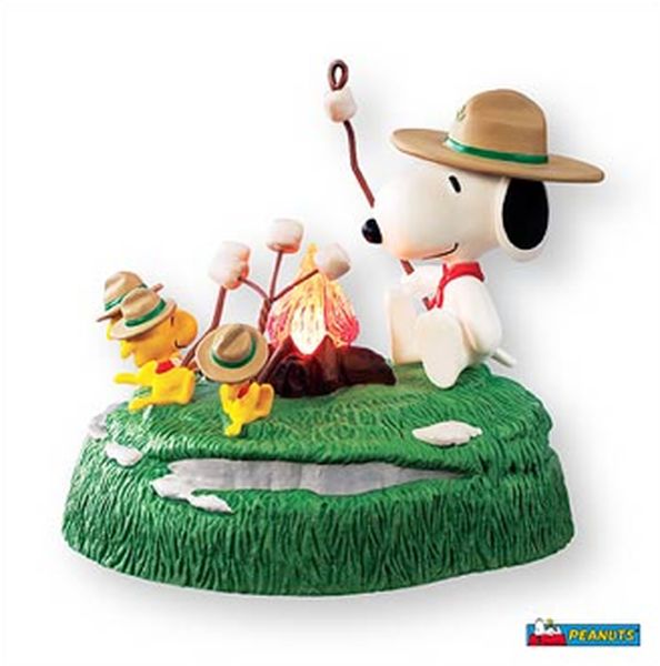 Beagle Scouts’ Campfire