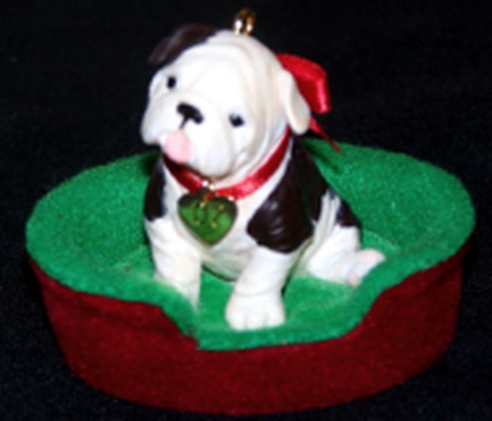 Bulldog