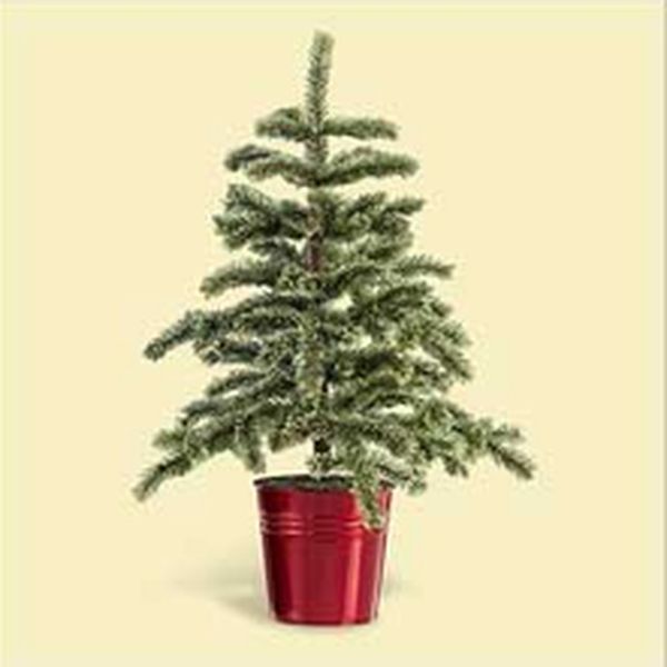 The Mini Tree