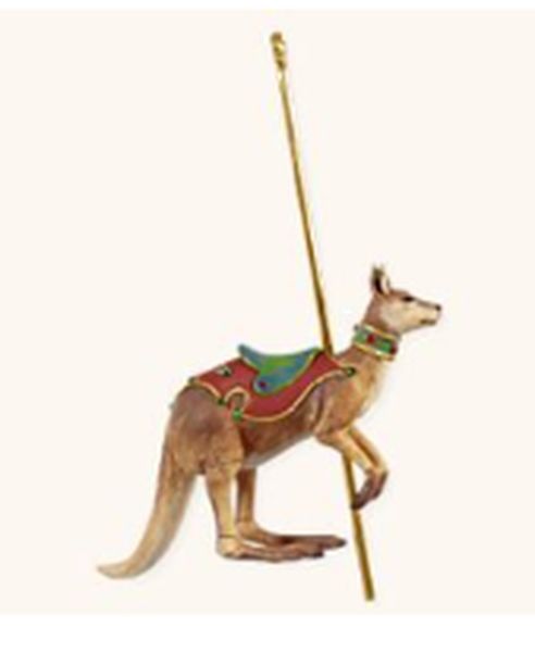 Happy Kangaroo