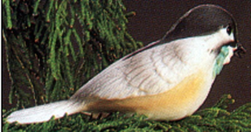 Chickadee