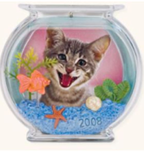 The Curious Kitty - Photo Holder