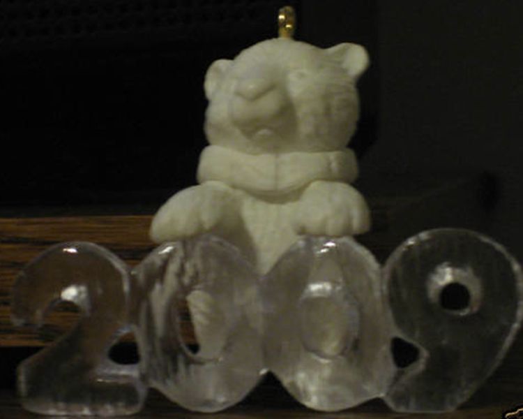 Bear