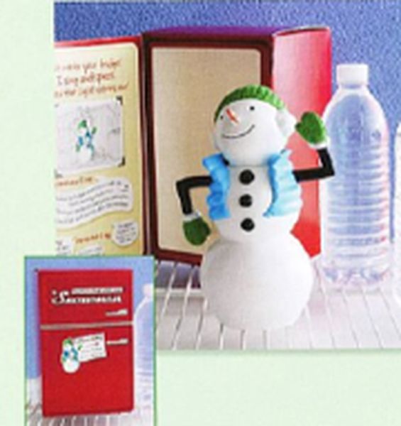 Fun in the Fridge Snowman