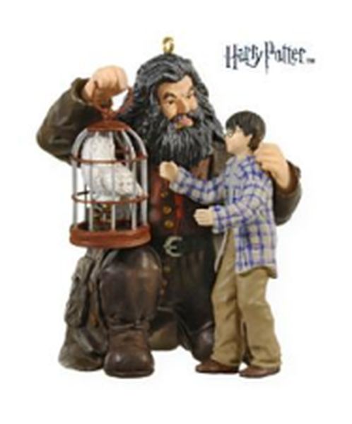 Harry! Happy Birthday!