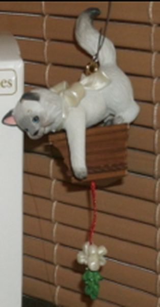Mischievous Kittens