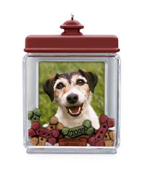 Special Dog - Photo Holder