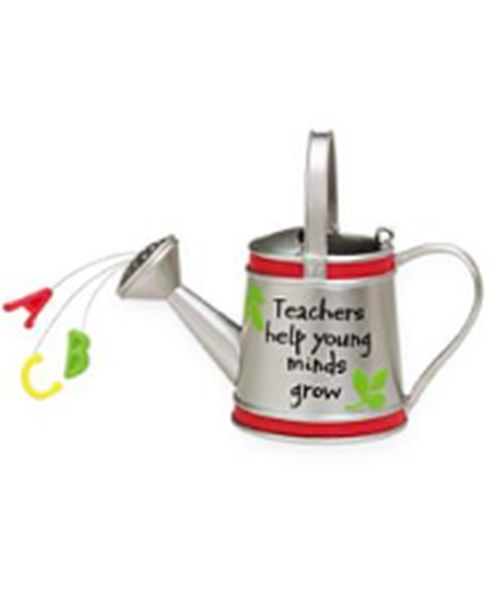 Teacher