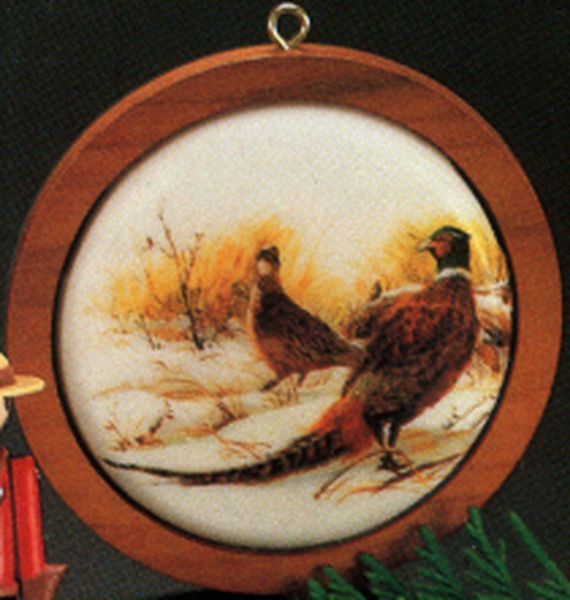 Ringed Neck Pheasant