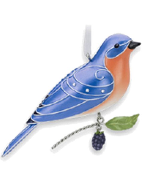 Eastern Bluebird
