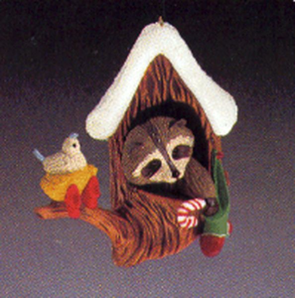 Raccoon's Christmas