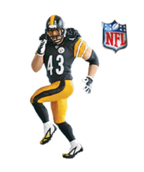 Troy Polamalu