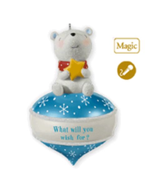 What Will You Wish For? Recordable