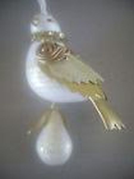 Partridge in a Pear Tree