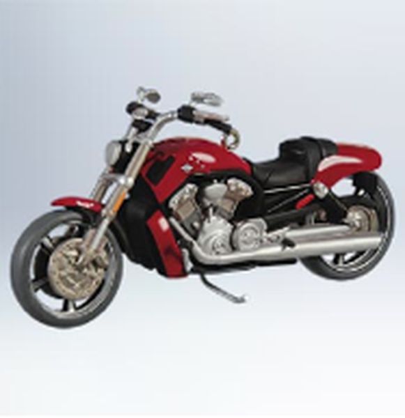 2010 VRSC V-Rod Muscle