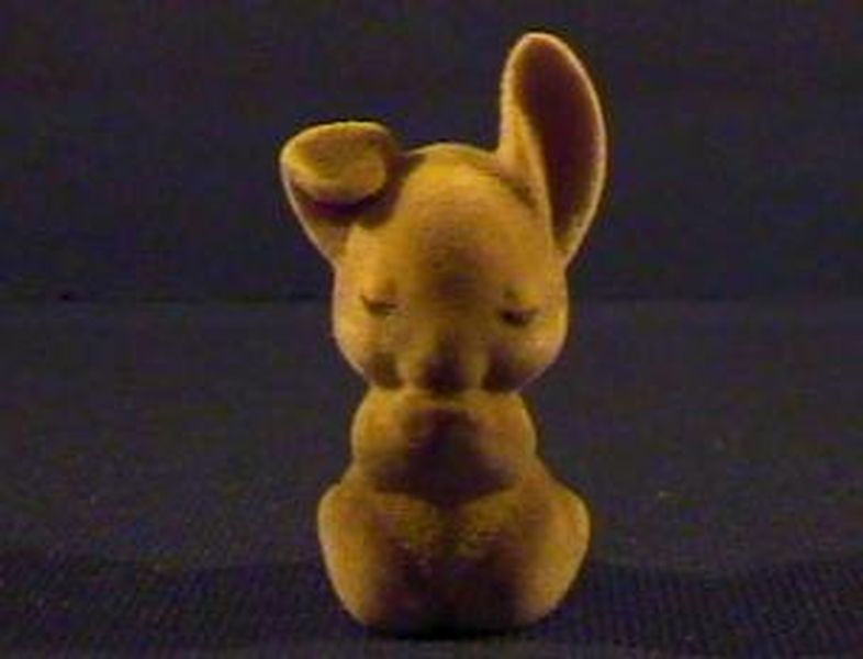 Brown Bunny