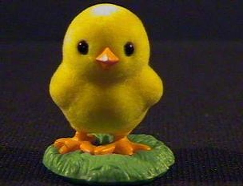 Chick