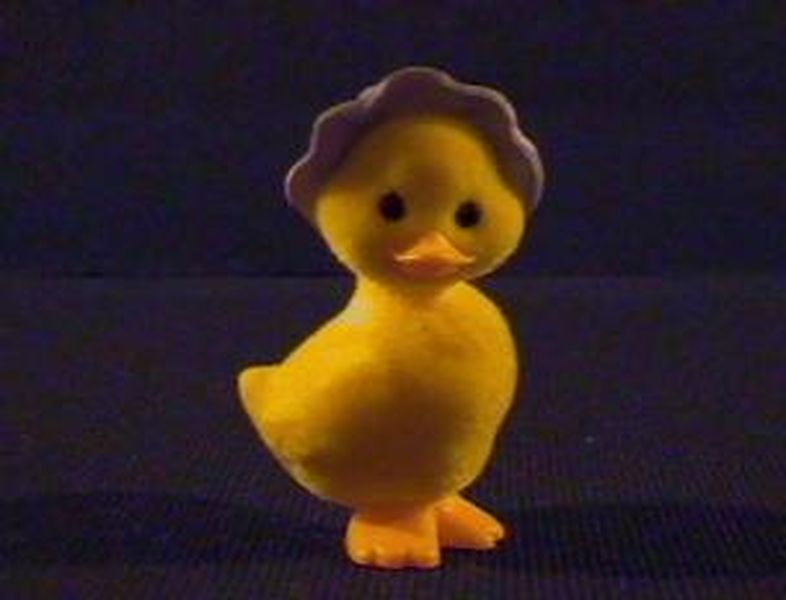 Duck