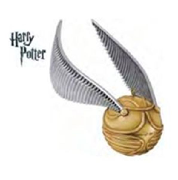 The Golden Snitch