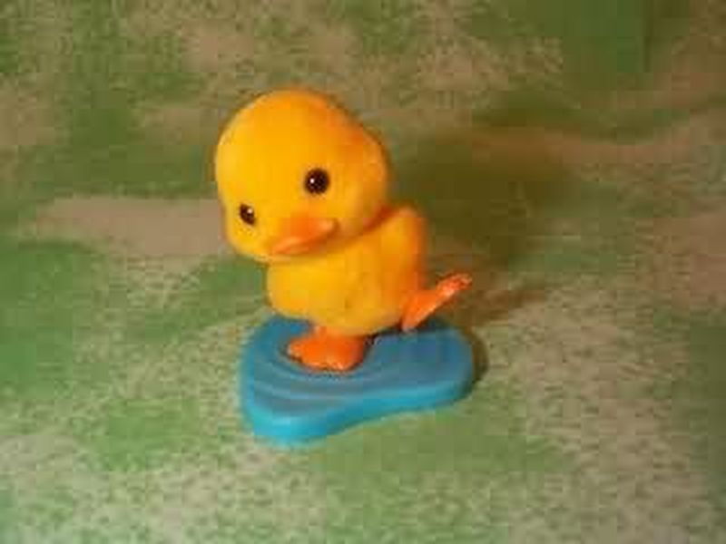 Duck