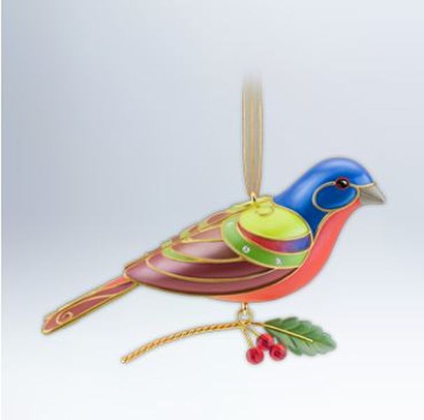 Beauty of Birds