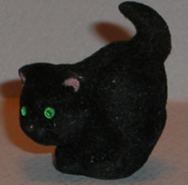 Kitten