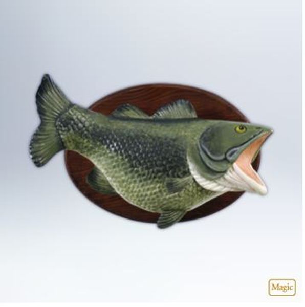 Loudmouth Bass