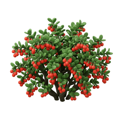 Illustration of 杞, Chinese wolfberry shrub (Lycium chinense)