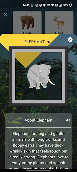 Animal Voice App Screenshot 4